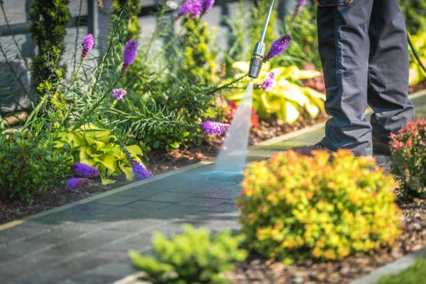 Professional Pressure Washing in Vineland, NJ